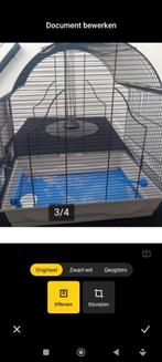 vogels koi, Dieren en Toebehoren, Vogels | Hokken en Kooien, Ophalen of Verzenden, Zo goed als nieuw, Hout, Vogelkooi