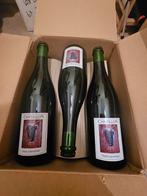 Cantillon - Lamvinus 2019 (doos 6 flessen), Ophalen of Verzenden, Rode wijn