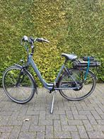 Zo goed als nieuwe sparta, 51 tot 55 cm, Ophalen of Verzenden, Zo goed als nieuw, Sparta