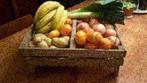 Aardappel poot kisten , houten manden , heel oud ( hout ), Ophalen of Verzenden