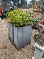 Bloembakken, Tuin en Terras, Ophalen, Steen, Gebruikt, 60 tot 100 cm