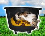 hondenmand, Dieren en Toebehoren, Ophalen, Zo goed als nieuw, Overige