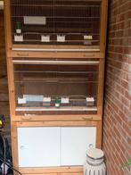 Vogelkooi, Dieren en Toebehoren, Vogels | Hokken en Kooien, Ophalen of Verzenden, Hout, Vogelkooi