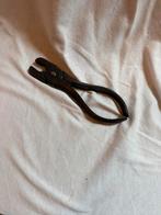 Varkensringtang, Ophalen