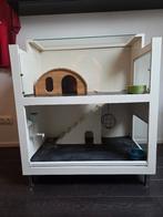 Cavia kooi/flat, Ophalen, Kooi, Gebruikt, 90 cm of meer