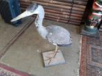 Opgezette Blauwe Reiger - Decoratie, Ophalen of Verzenden