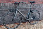 Specialized Globe Roll 7, Gebruikt, Versnellingen, 57 tot 61 cm, Ophalen