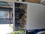 Compleet zeeaquarium, Ophalen, Gebruikt, Leeg aquarium