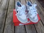 Nike lottery dunk grey, Ophalen of Verzenden, Zo goed als nieuw