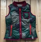 Bodywarmer, nieuw! Maat 104, Meisje, Nieuw, Ophalen of Verzenden, CKS