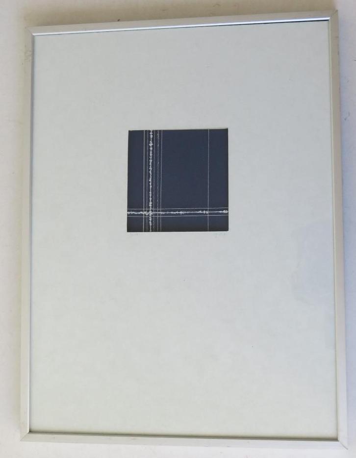 Textiel Kunst 1987, Antiek en Kunst, Kunst | Tekeningen en Foto's, Ophalen of Verzenden