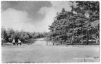 AK Holten - In de Holterberg, Verzamelen, Ansichtkaarten | Nederland, Verzenden, 1940 tot 1960, Ongelopen, Overijssel