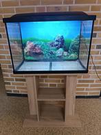 Superfish aquarium (60cm) incl. meubel, Dieren en Toebehoren, Ophalen, Zo goed als nieuw, Leeg aquarium