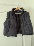 Body warmer cropped maat M, Maat 38/40 (M), H&M, Zwart, Ophalen of Verzenden