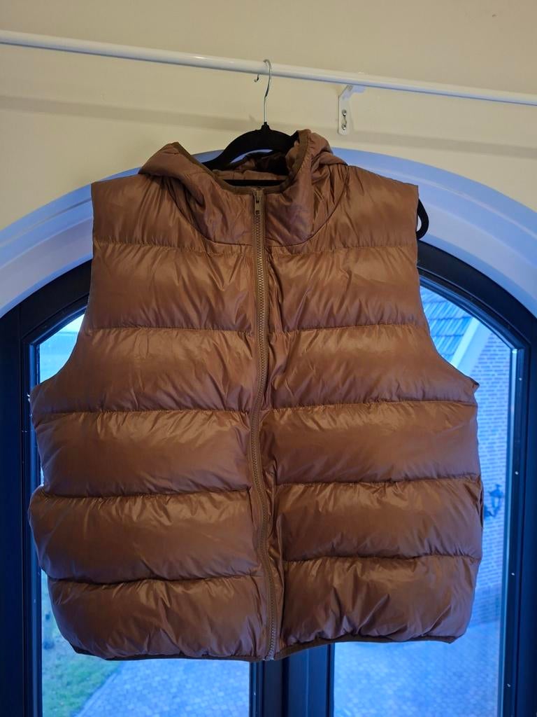 Bruine bodywarmer, Kleding | Dames, Bodywarmers, Bruin, Maat 46/48 (XL) of groter, Nieuw, Ophalen of Verzenden