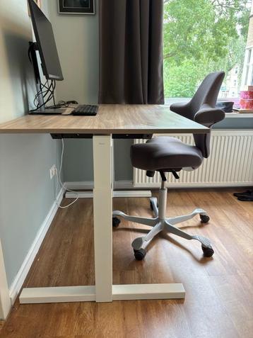 Gispen bureau 120x80 (noten - wit)