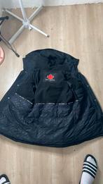 winterjas zavetti canada, Ophalen, Maat 48/50 (M), Zwart, Zo goed als nieuw