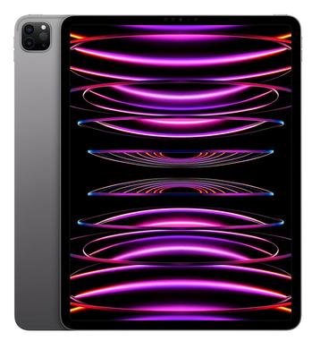 iPad Pro M2 256GB 11 inch space grey, half jaartje jong! beschikbaar voor biedingen