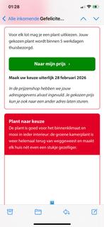 Plant naar keuze (Postcodeloterij) Keuze uit 26 soorten!, Verzenden, Vaste plant