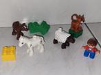 Duplo boerderij dieren met kindje, Kinderen en Baby's, Speelgoed | Duplo en Lego, Gebruikt, Ophalen of Verzenden, Duplo, Duplo