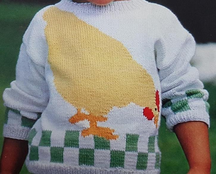 Kip met geblokte rand trui breipatroon, Hobby en Vrije tijd, Breien en Haken, Zo goed als nieuw, Breien, Patroon of Boek, Ophalen of Verzenden