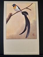 Paradijs wida  ansichtkaart P Sluis getekend Rein Stuurman, Verzenden, Ongelopen, Vogel