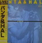LP - Panta & HAL ‎– TKO Night Light, Ophalen of Verzenden, Gebruikt, 12 inch, Poprock