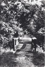 Vierhouten heimanshof oude gelopen ansichtkaart ( 7947 ), Verzamelen, Ophalen of Verzenden, 1940 tot 1960, Gelopen