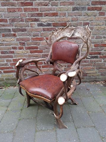 Jachtstoel geweien hert opgezette taxidermy opgezet schedel beschikbaar voor biedingen