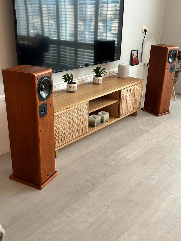 Castle Avon in mintconditie., Audio, Tv en Foto, Luidsprekers, Zo goed als nieuw, Front, Rear of Stereo speakers, 60 tot 120 watt