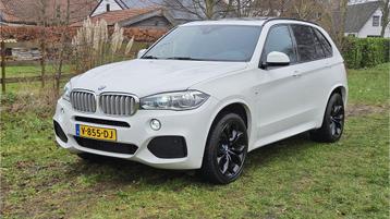 BMW X5 XDRIVE40D ALLE OPTIES GRIJS KENTEKEN High executive beschikbaar voor biedingen