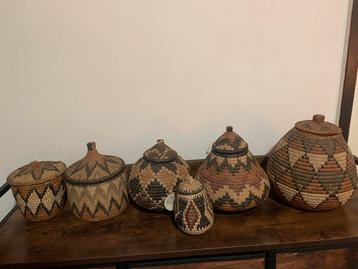 Afrikaanse Zulu Manden beschikbaar voor biedingen