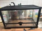 Terrarium, Dieren en Toebehoren, Ophalen, Zo goed als nieuw