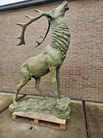 ZEER GROOT BRONZEN HERT AAN BETAALBARE PRIJS! OOK ANDERE!, Ophalen of Verzenden, Zo goed als nieuw, Overige materialen, Dierenbeeld