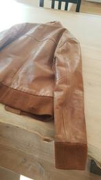 Nette Leren dames jas!, Kleding | Dames, Jassen | Winter, Ophalen of Verzenden, Gedragen, Bruin