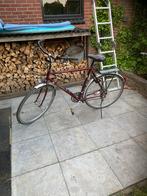 Herenfiets van merk “specialized sequoia”, Versnellingen, Gebruikt, Ophalen of Verzenden, 56 cm of meer