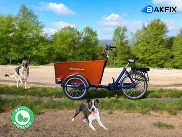 Tweedehands elektrische Cargo Trike hondenbakfiets beschikbaar voor biedingen