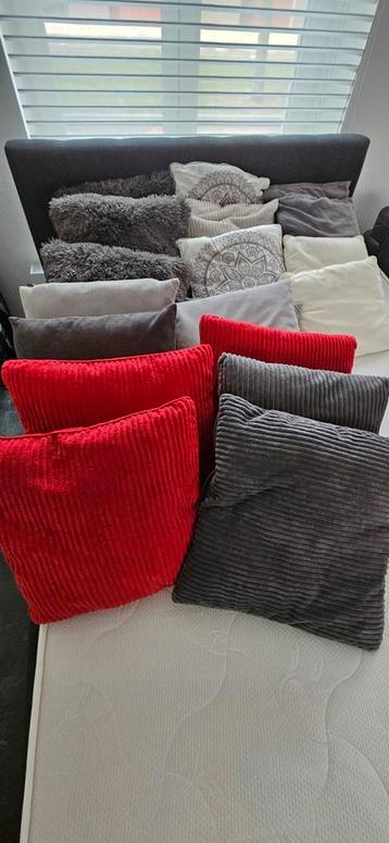 Sierkussentjes(19 stuks) TEAB ((mag weg  ivm verhuizing  beschikbaar voor biedingen