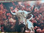 Canvas schotse hooglander xxl whow ! €35,-, Huis en Inrichting, Ophalen, Nieuw