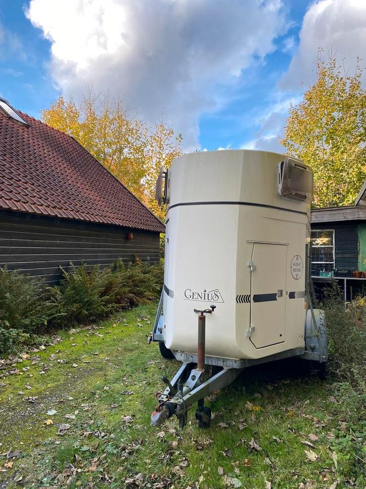 Böckmann Genius 2-paards trailer, Dieren en Toebehoren, Overige Dieren, Meerdere dieren, September