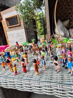 Playmobil grote doos incl boerderijen, Ophalen