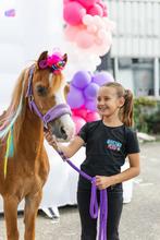 Pony verhuur springkussen bumpercars en bubble house verhuur, Ophalen, Nieuw, Verjaardag