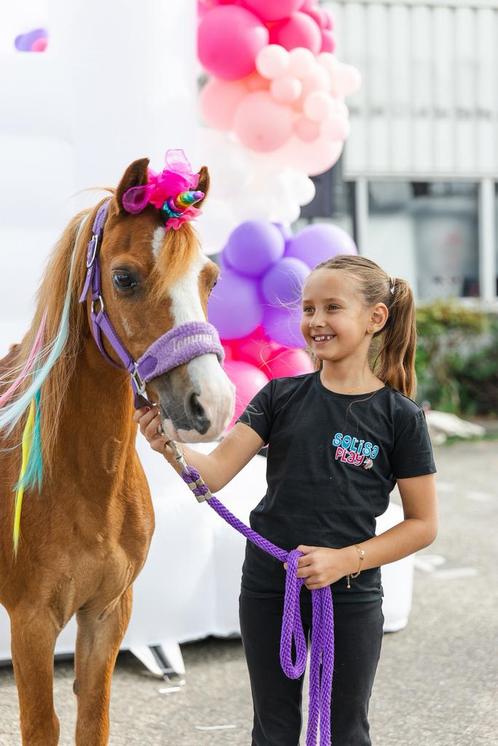 Pony verhuur springkussen bumpercars en bubble house verhuur, Hobby en Vrije tijd, Feestartikelen | Verhuur, Nieuw, Verjaardag