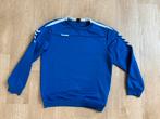 Blauwe Hummel Trui maat 164, Ophalen of Verzenden, Zo goed als nieuw, Jongen of Meisje, Trui of Vest