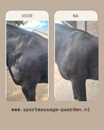 Paarden massage, guasha, Roodlichttherapie, Equery