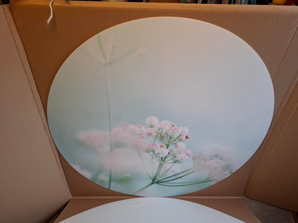 Muurcirkel Forex 3mm - 120cm met Doos, Ophalen of Verzenden, Nieuw, Kunststof, 100 tot 125 cm