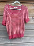 Rood met wit truitje shirtje maat S/36 WE, Ophalen of Verzenden, Zo goed als nieuw, Maat 36 (S), Rood