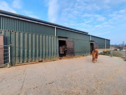 Shetlander stalling aangeboden in kudde verband, Dieren en Toebehoren, Stalling en Weidegang, Stalling, Weidegang