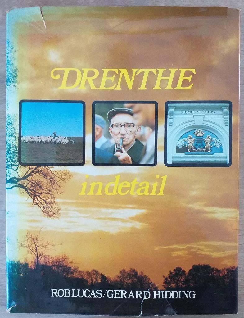 Drenthe in detail. Gerard Hidding., Ophalen of Verzenden, Gelezen, Gerard Hidding.