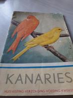 Klein boekje over kanaries, Dieren en Toebehoren, Vogels | Parkieten en Papegaaien, Meerdere dieren, Parkiet